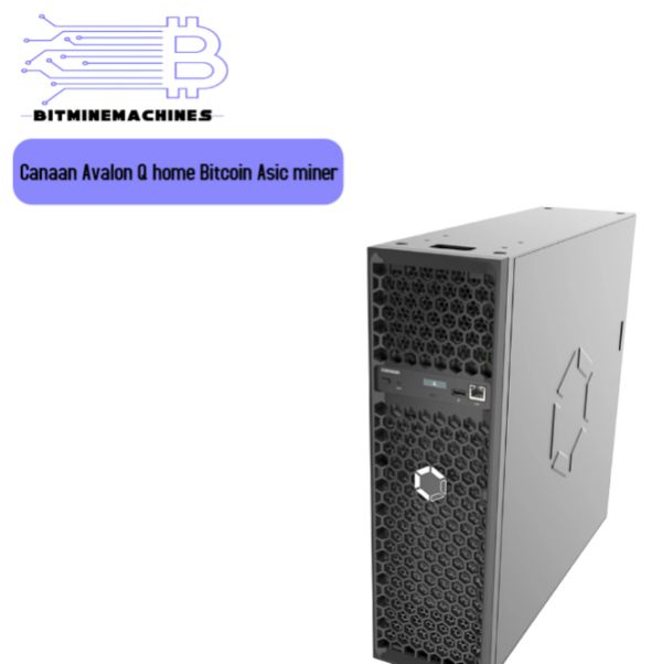Canaan Avalon Q